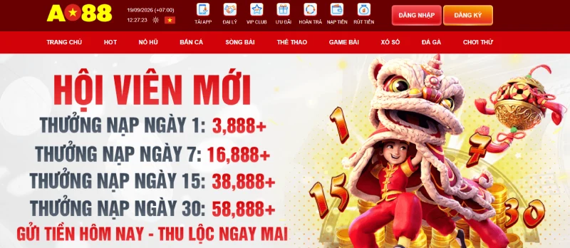 AO88 cung cấp nhiều nhóm sản phẩm trên cùng hệ thống.