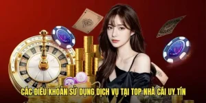 Điều Khoản Sử Dụng Dành Cho Người Dùng Tại Top Nhà Cái